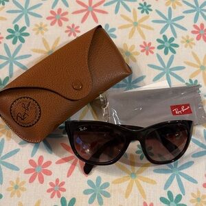 Ray-Ban Brown Sunglasses with Brown Case